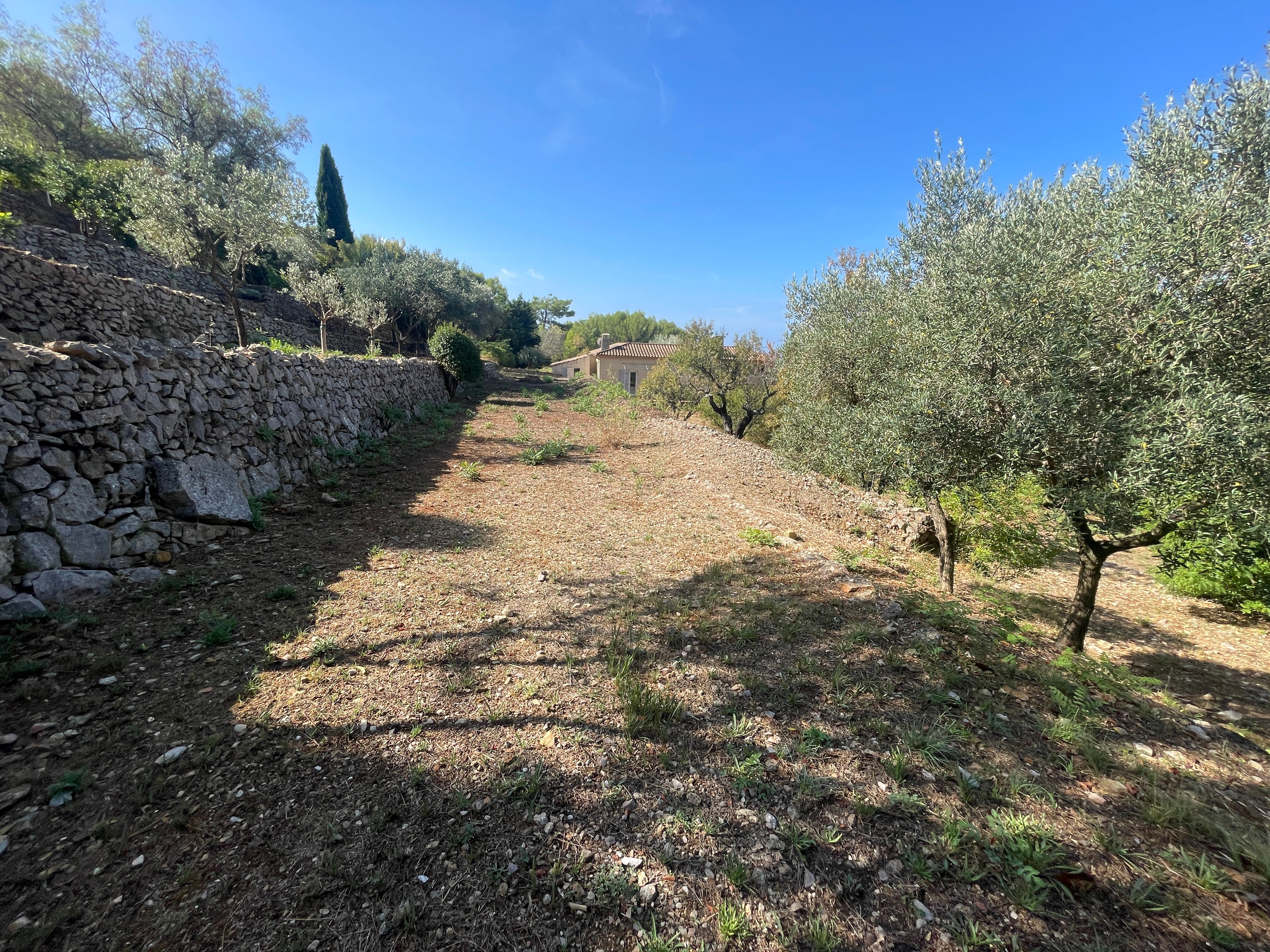 Terrain - OLLIOULES